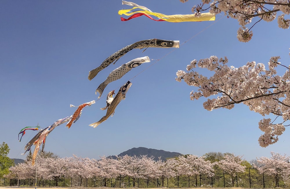 assorted-color floating kites