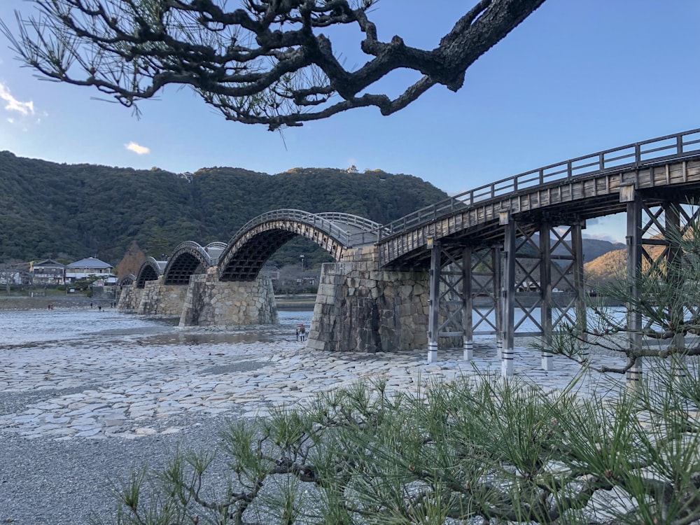 brown wooden bridge