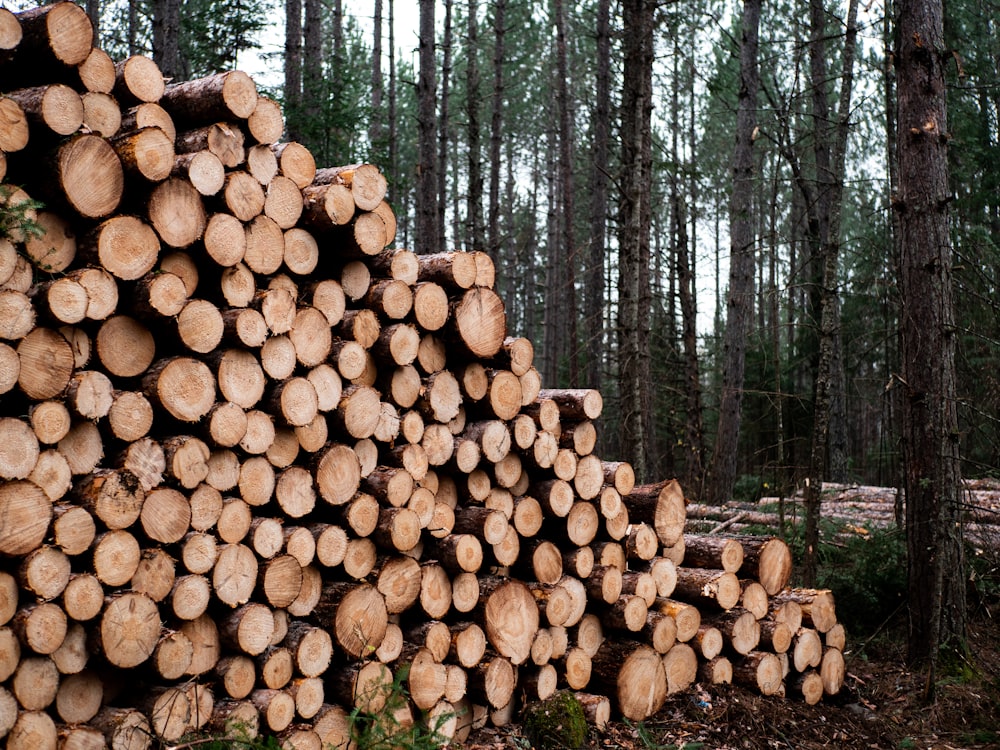 firewood stack