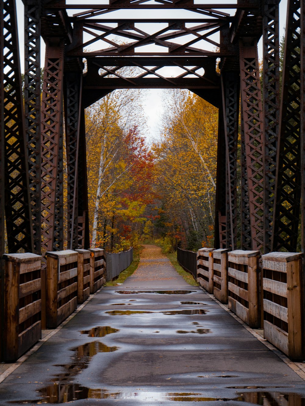 brown and black metal bridge