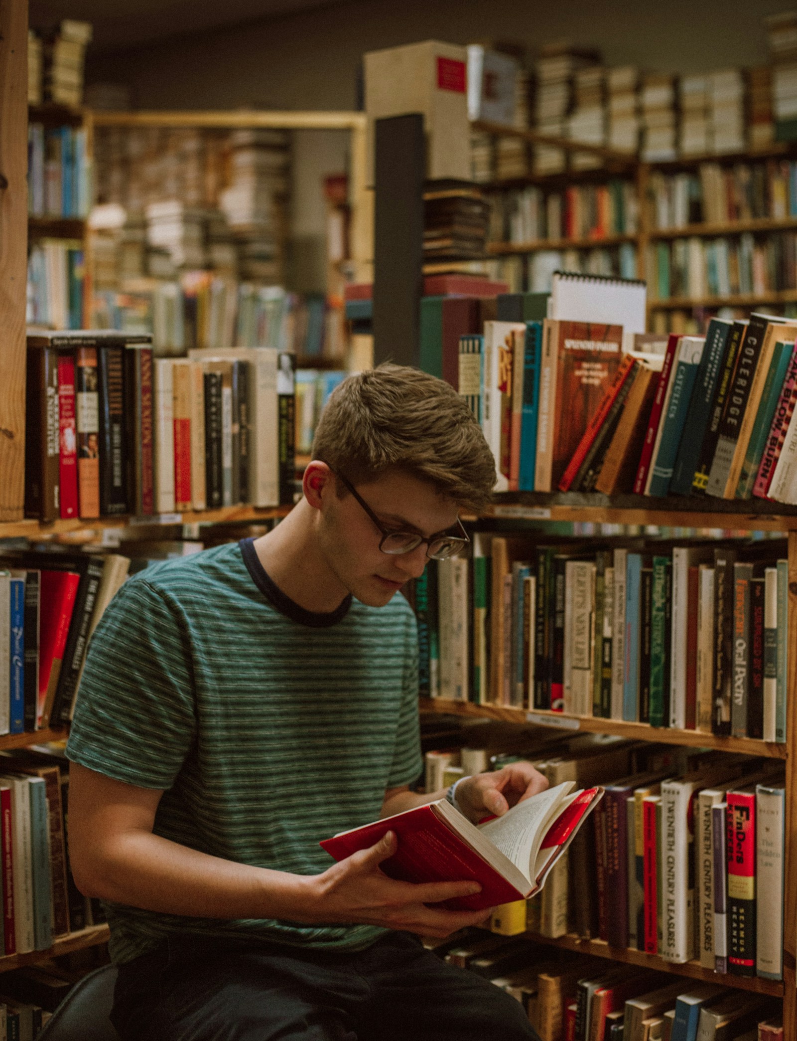 Reading in library 