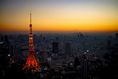 The iconic N Seoul Tower illuminated against the twilight sky