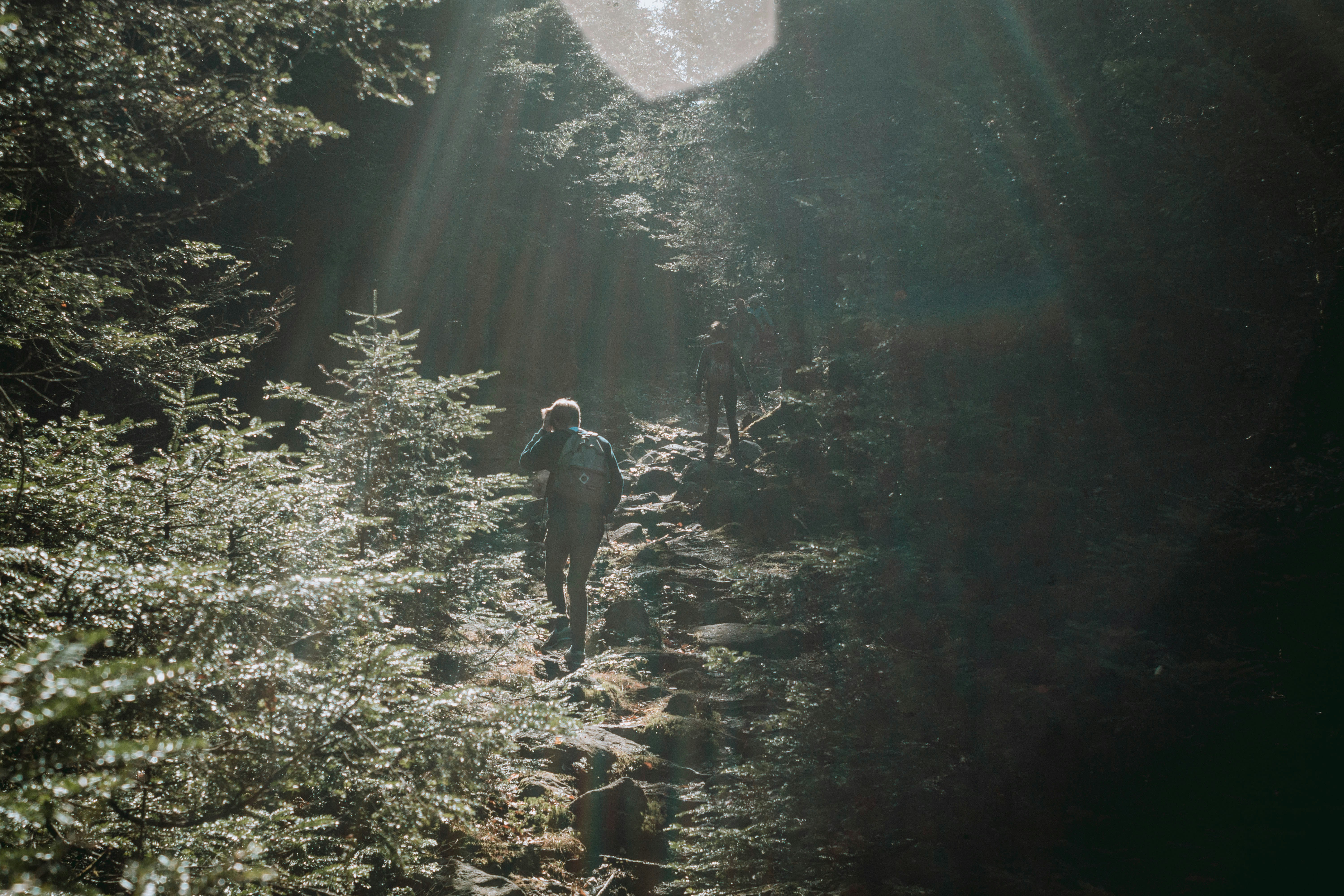 Photo by guillaume_t