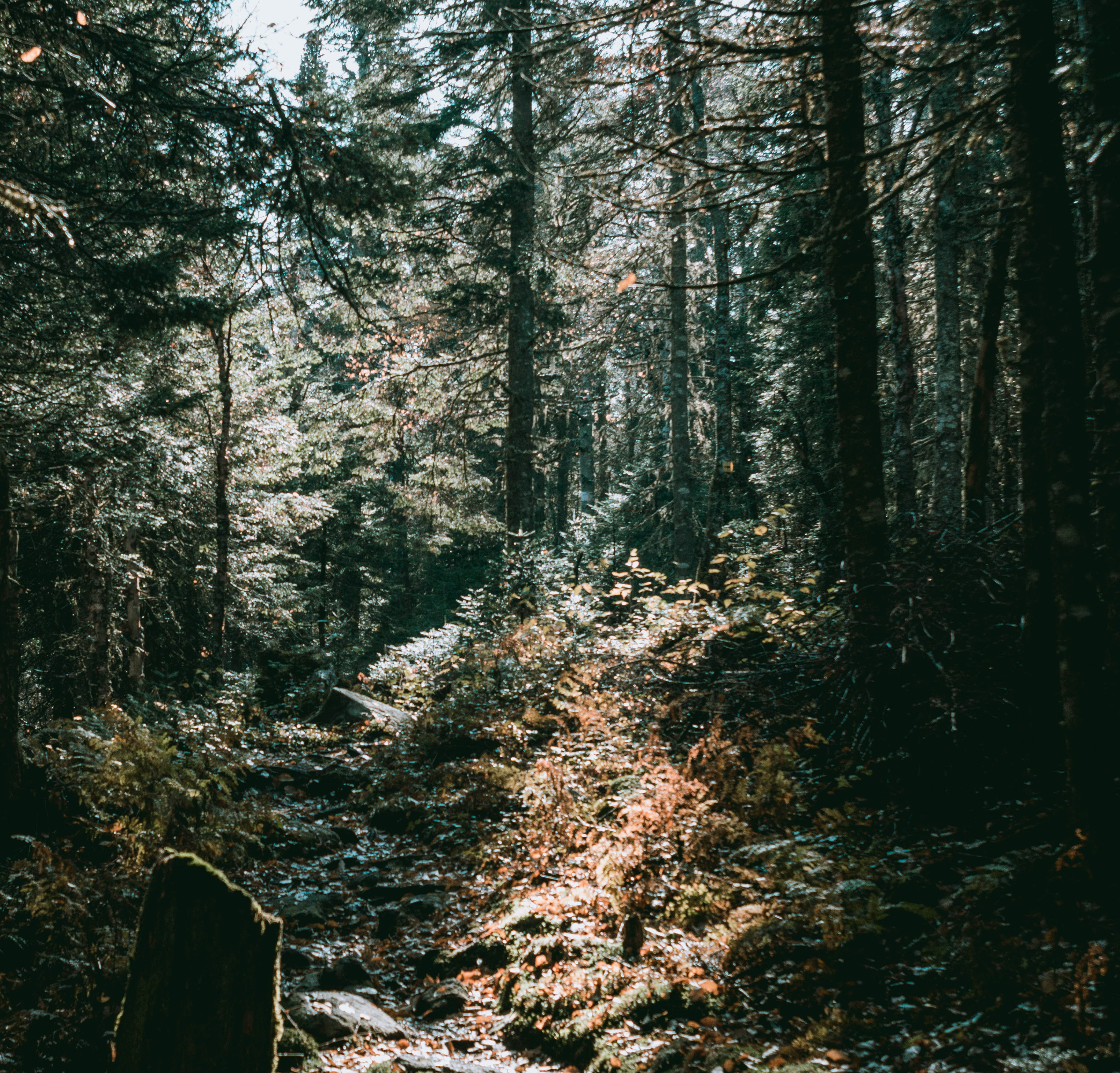 Photo by guillaume_t