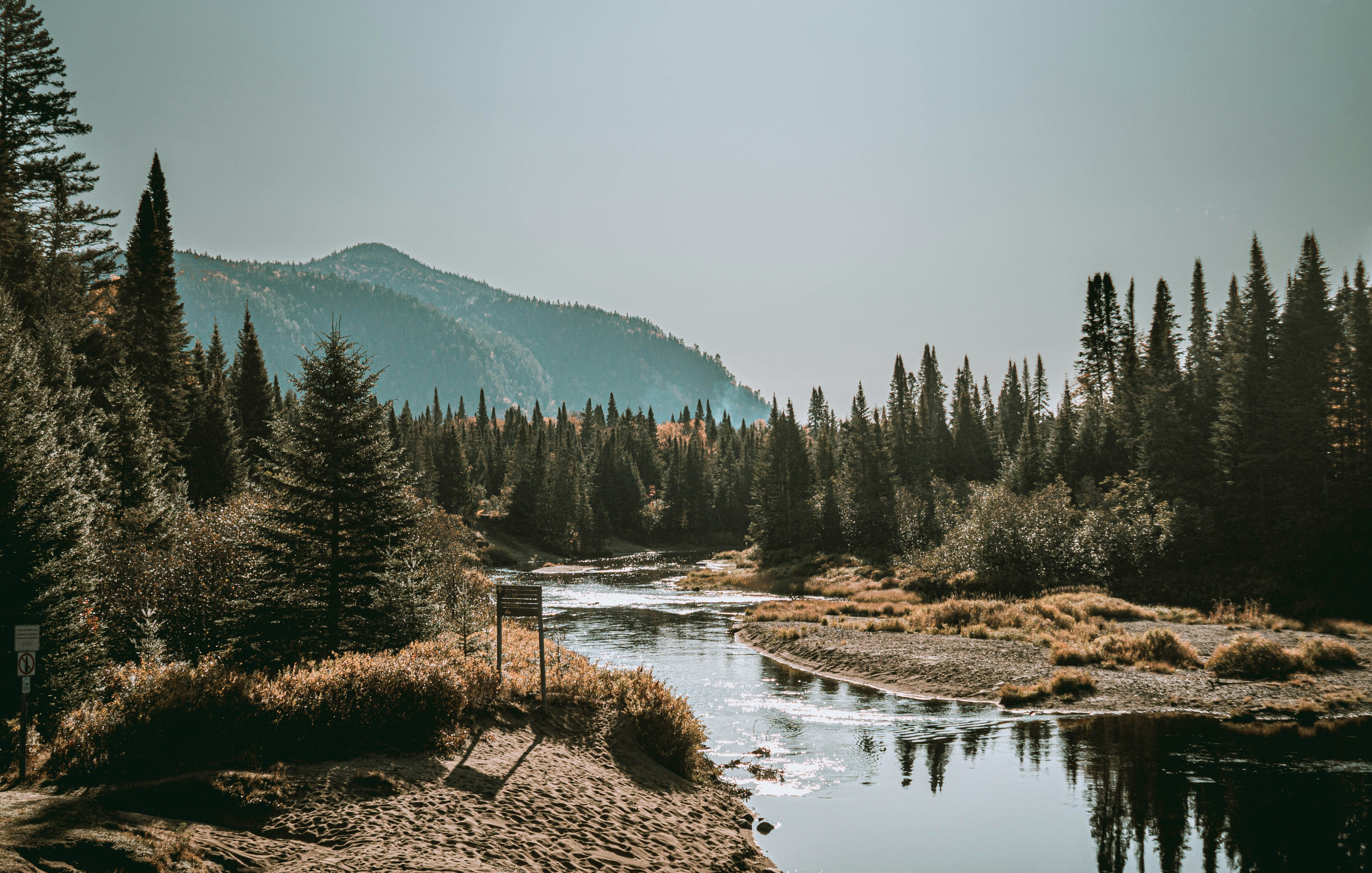 Photo by guillaume_t