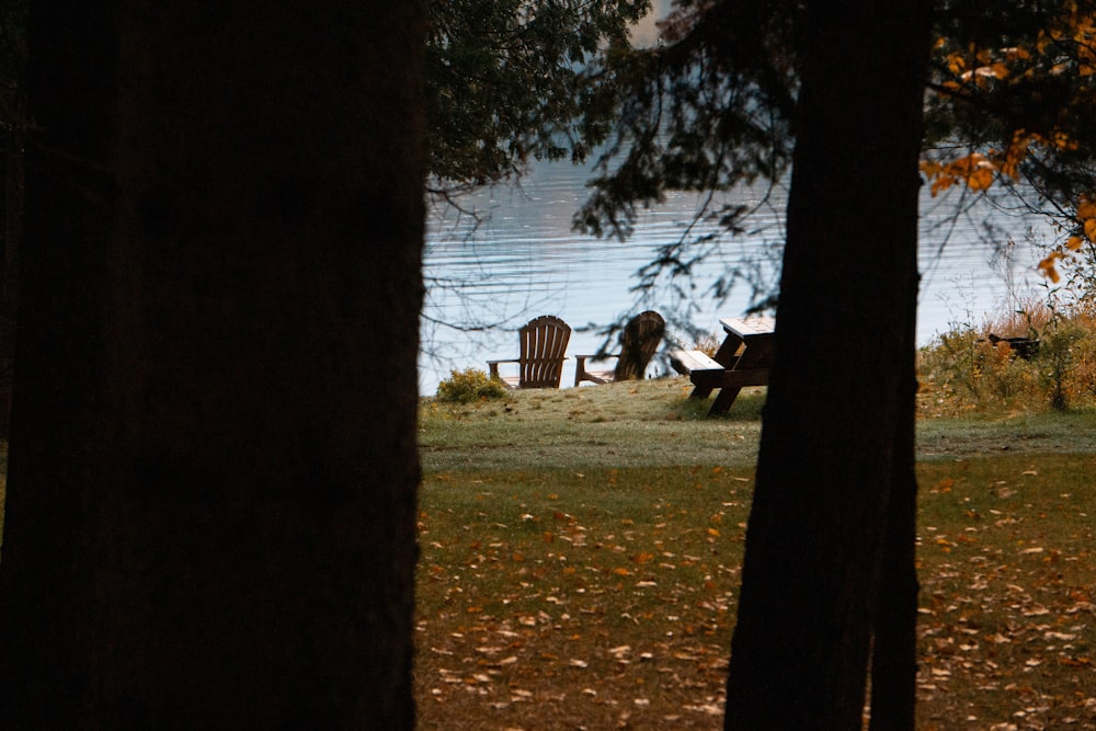 a couple of chairs sitting on top of a lush green field