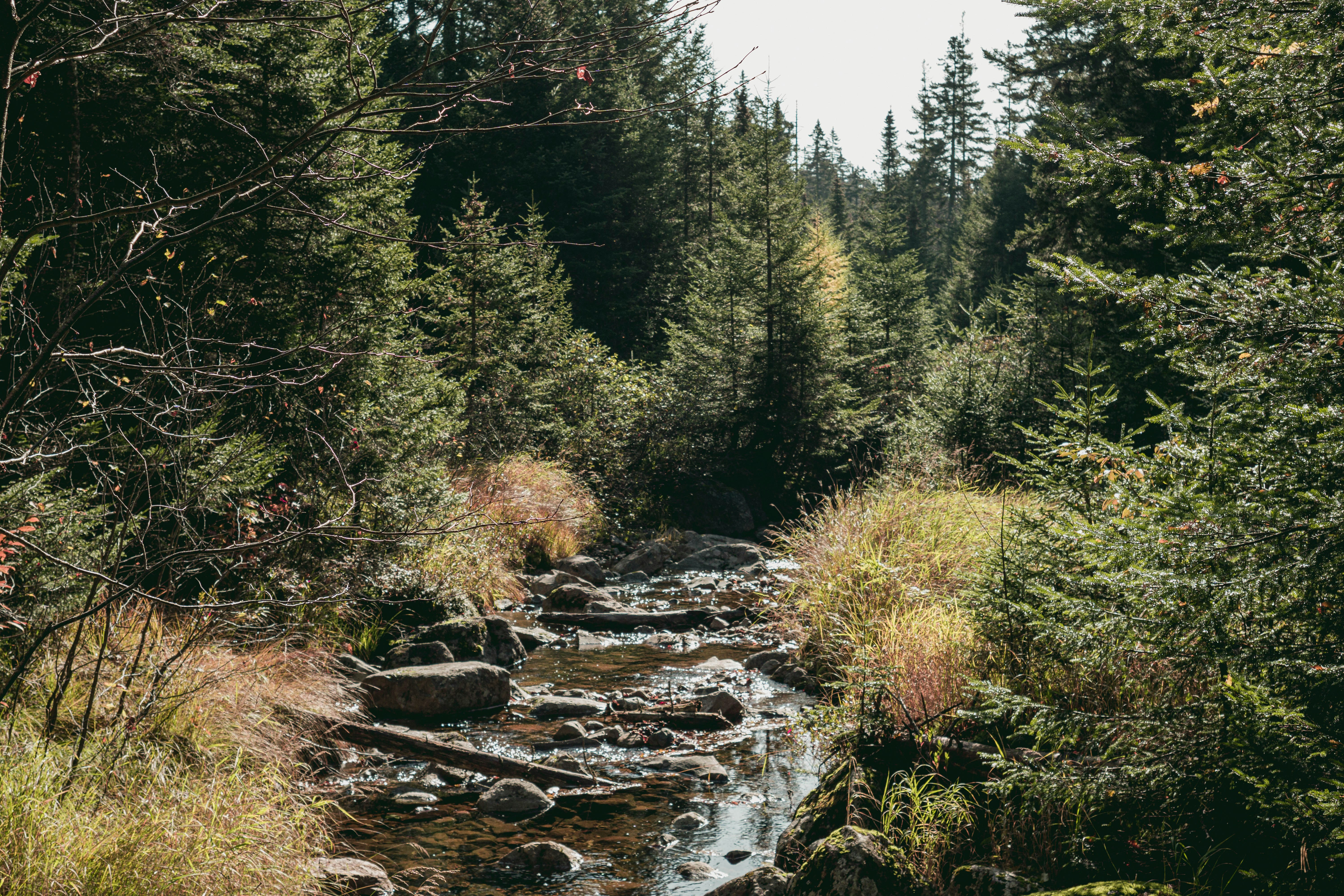 Photo by guillaume_t