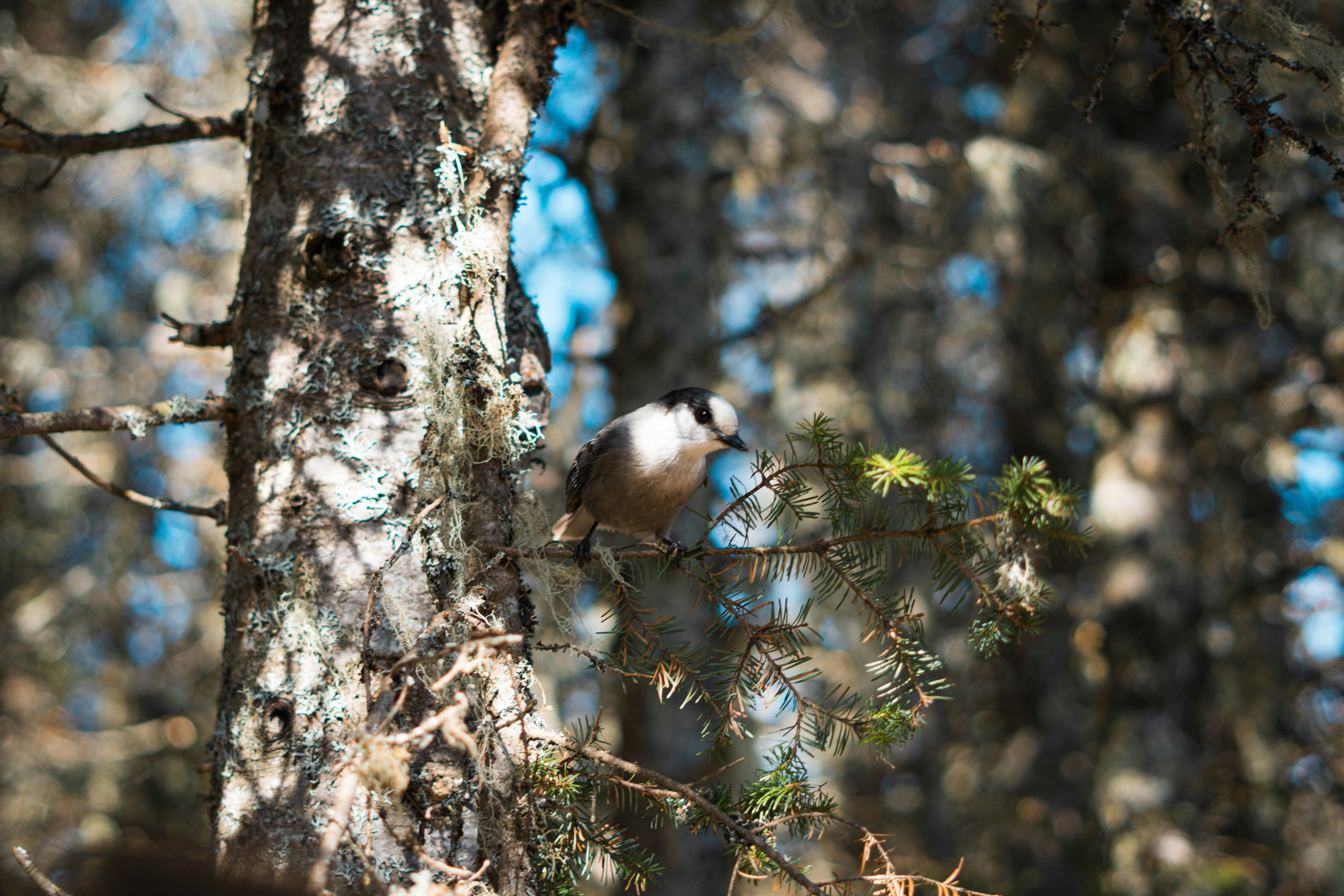 Photo by guillaume_t