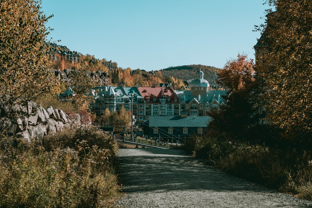 buildings near trees during day