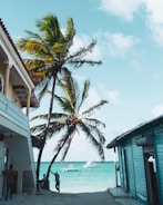 people on beach during daytime