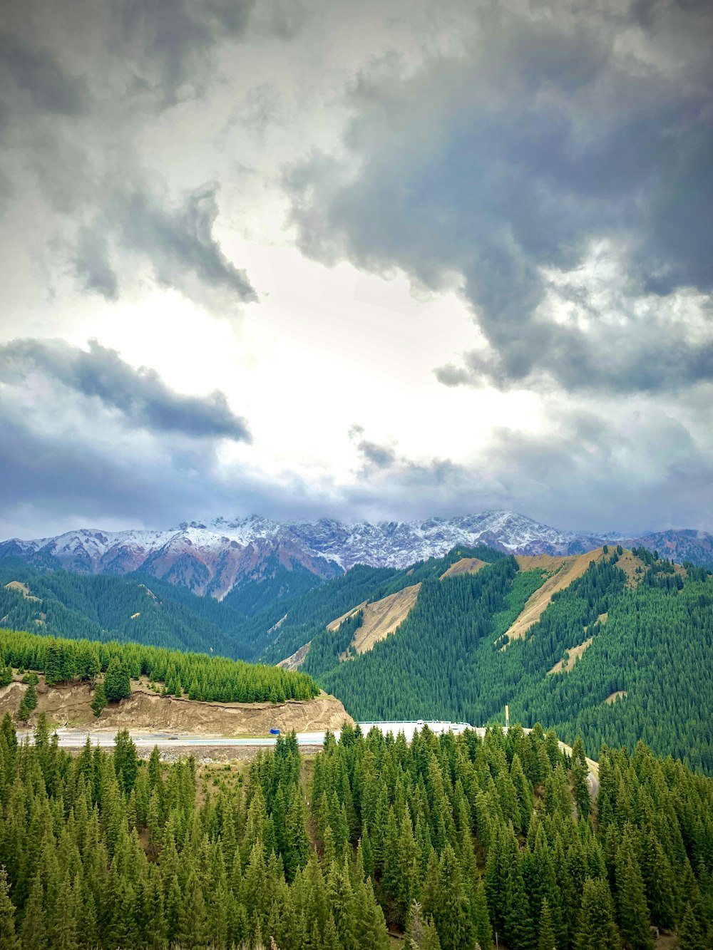 river beside mountain with trees