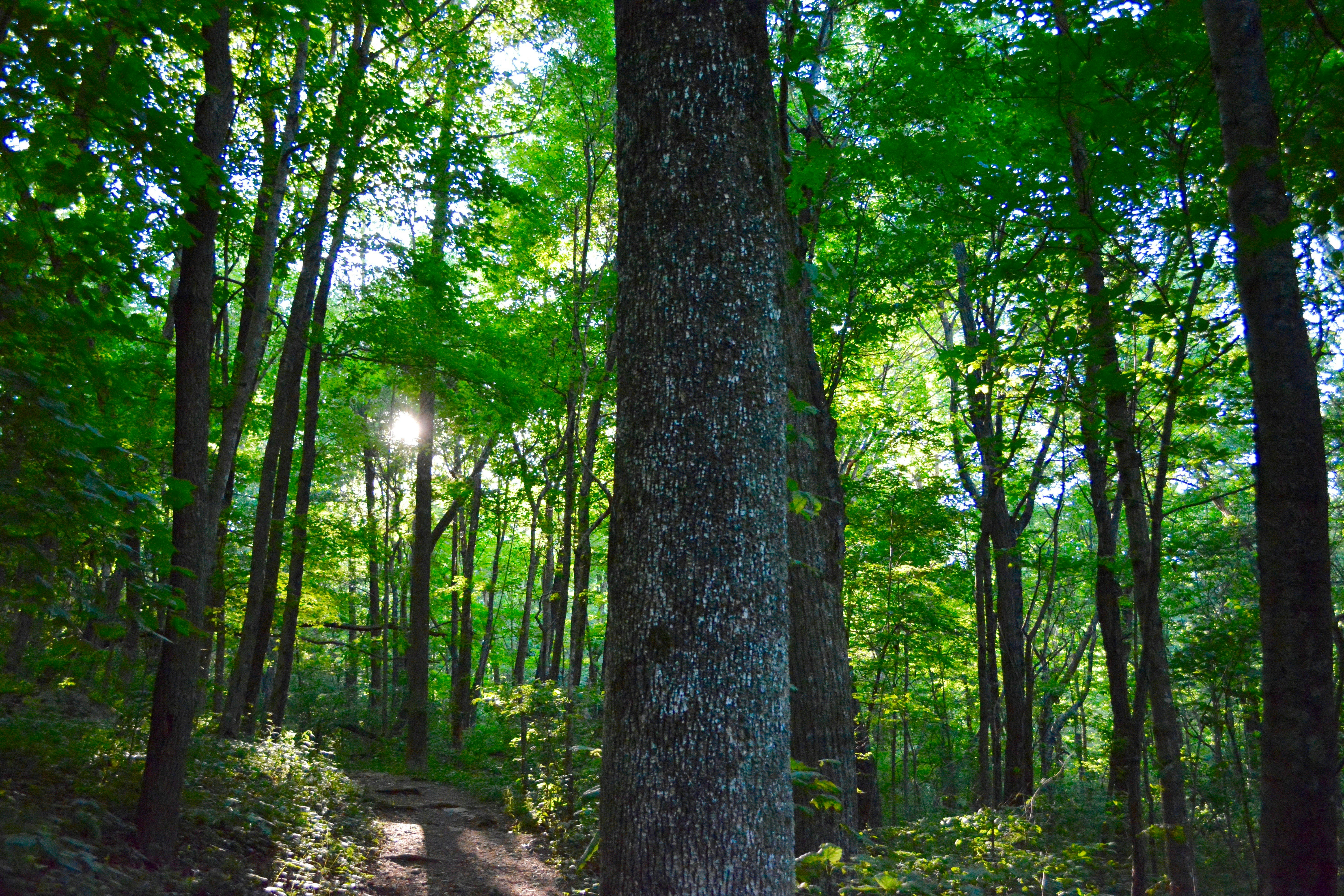 Photo by colinhalexander