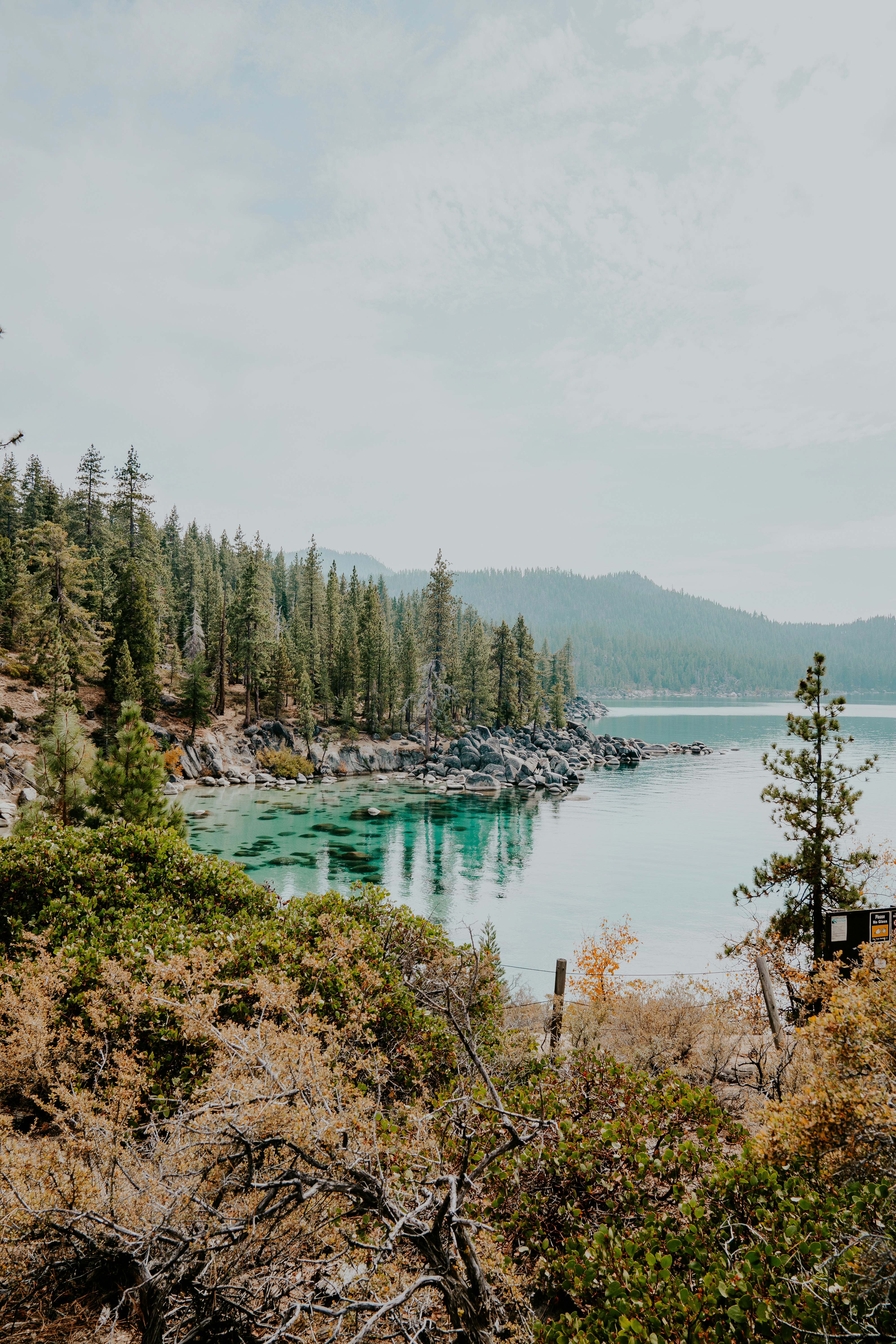 Photo by isaacmacdonald