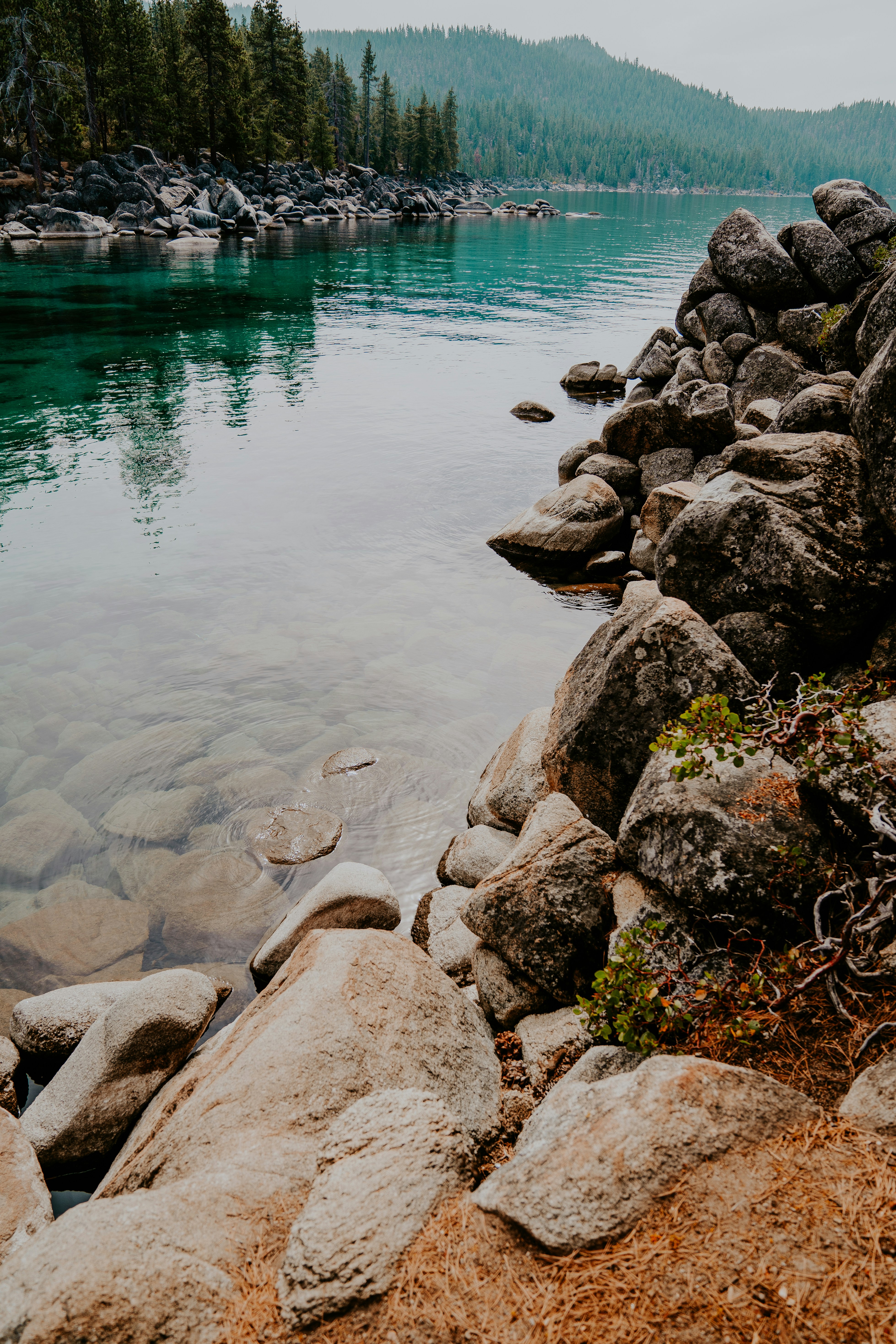 Photo by isaacmacdonald