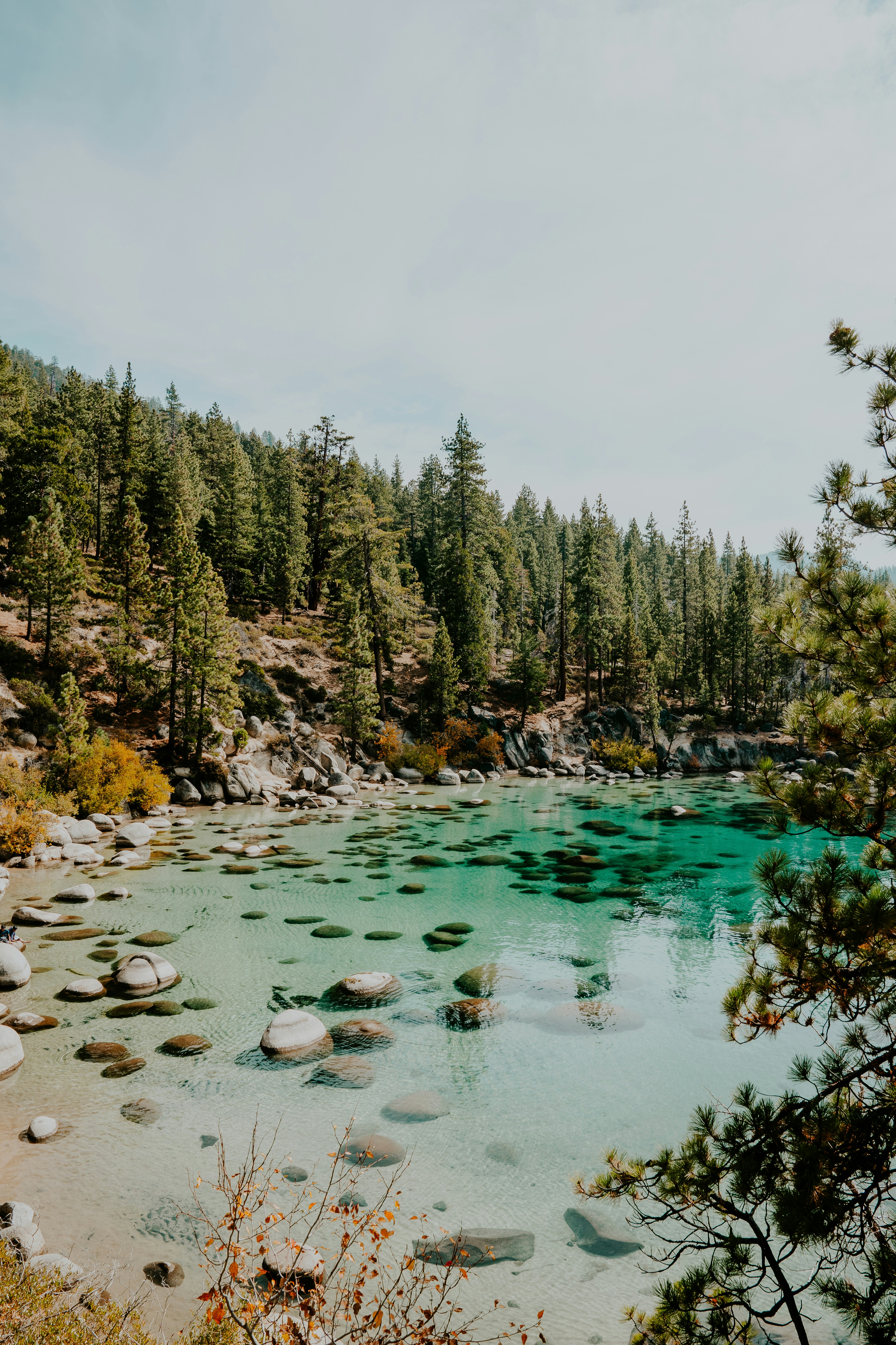 river with stones near trees