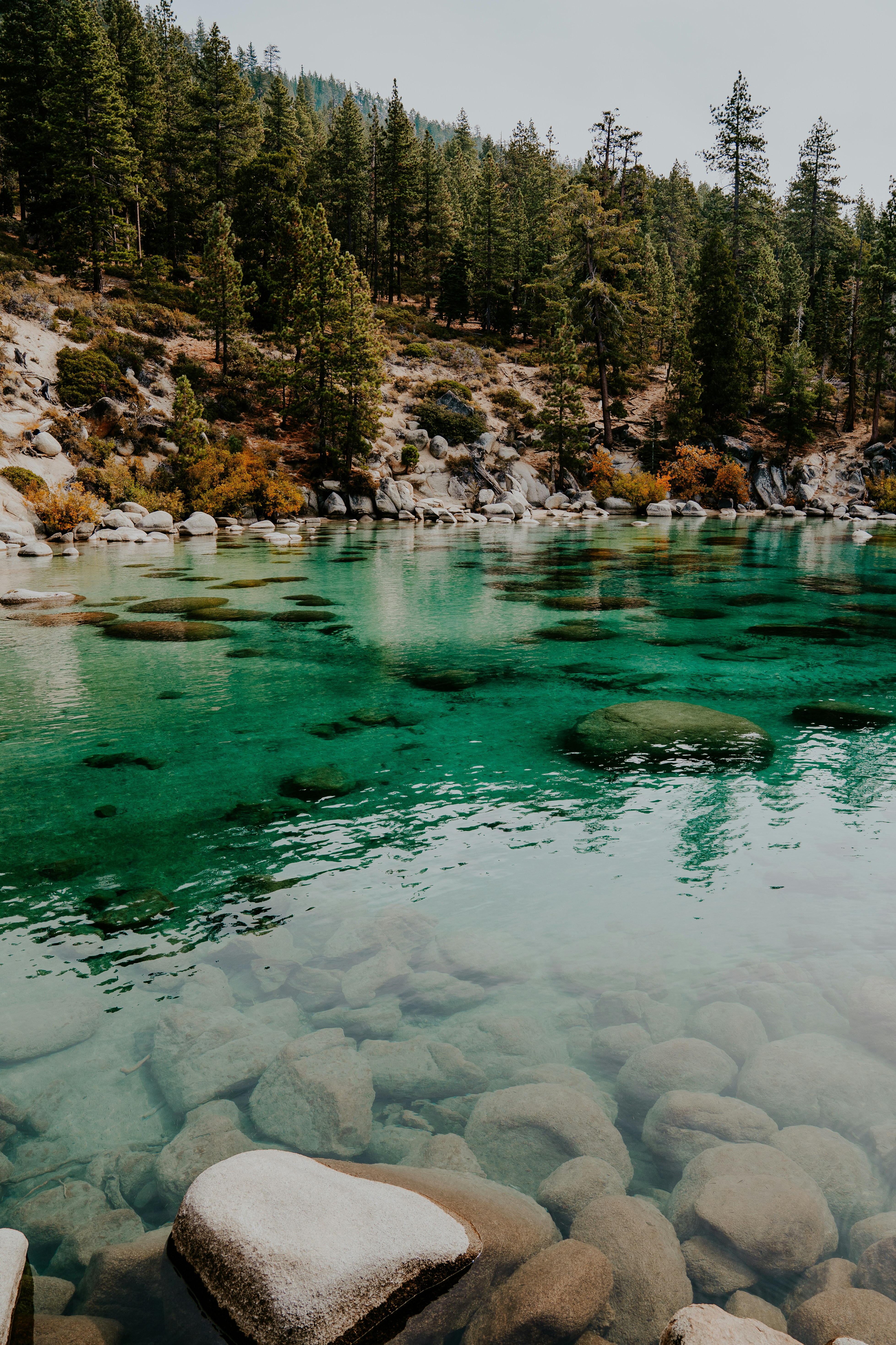 Photo by isaacmacdonald