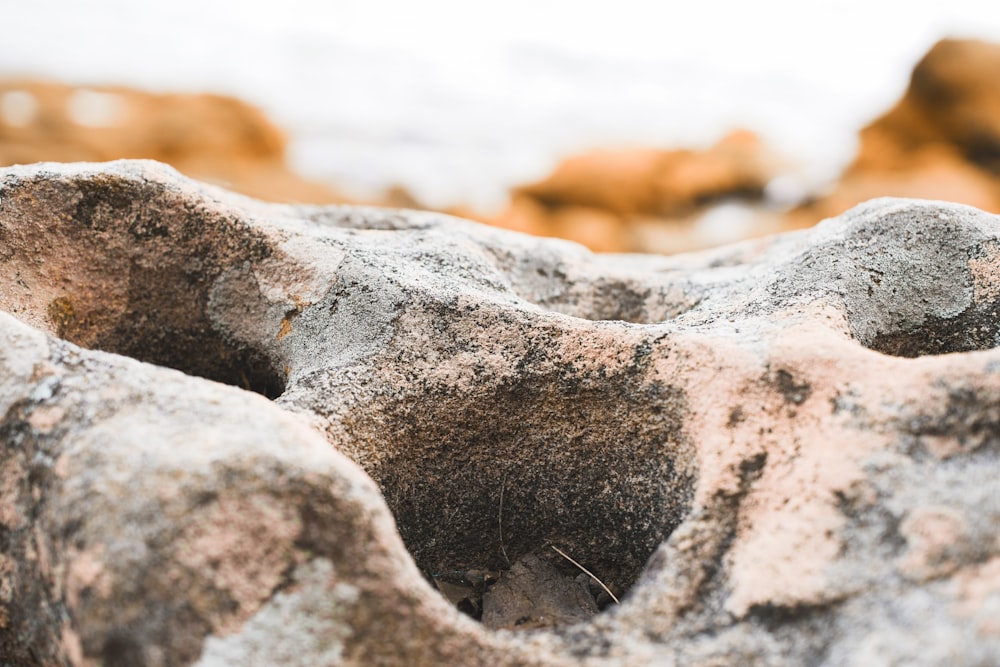 gray and white stone structure