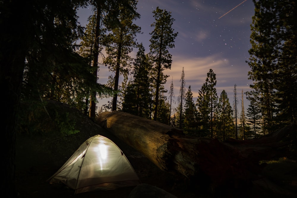 white and black camping tent