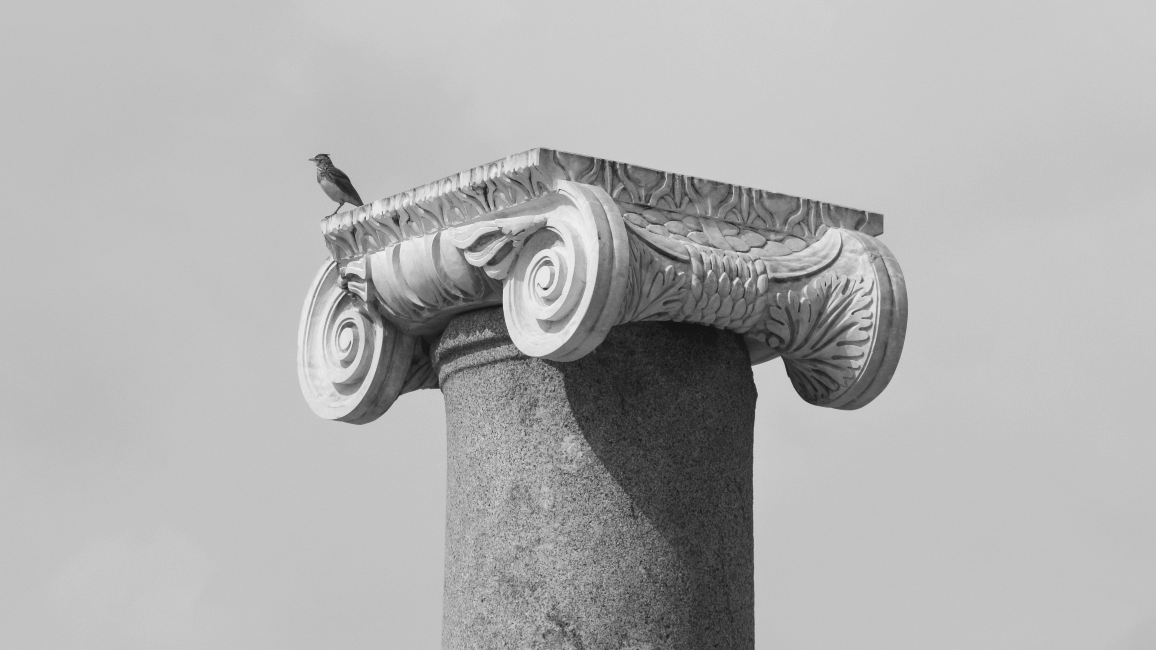 bird on post, A column from the ancient city ruins of the capital of the Lycian League.