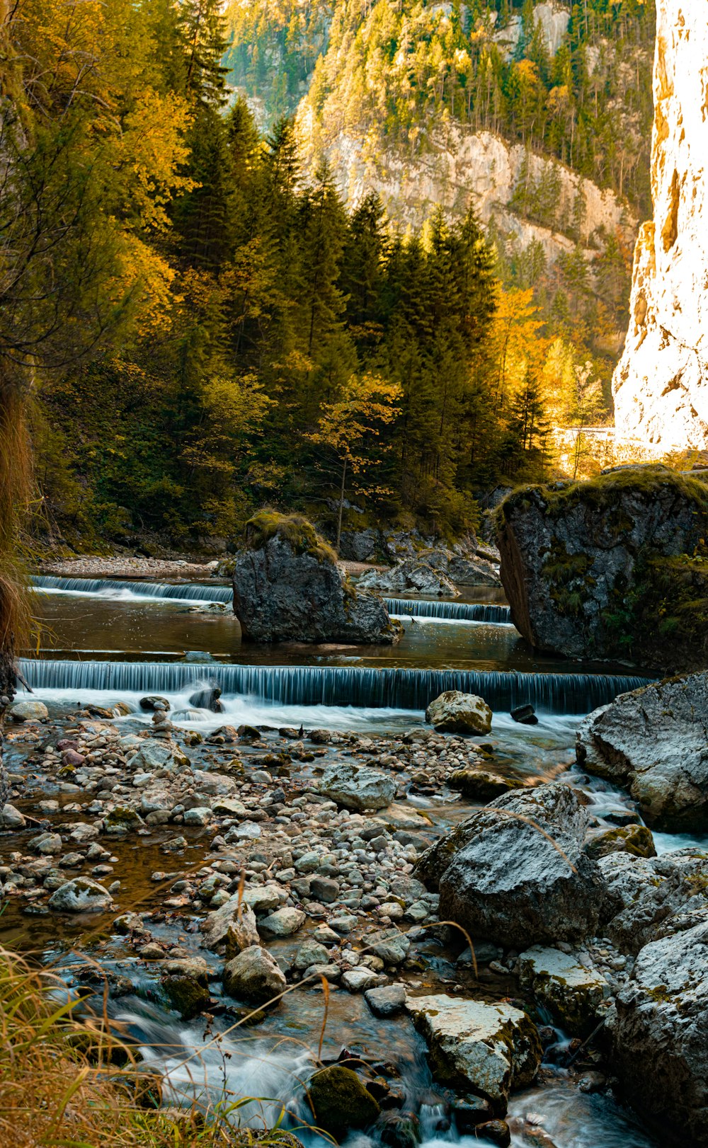 rocky spring and forest