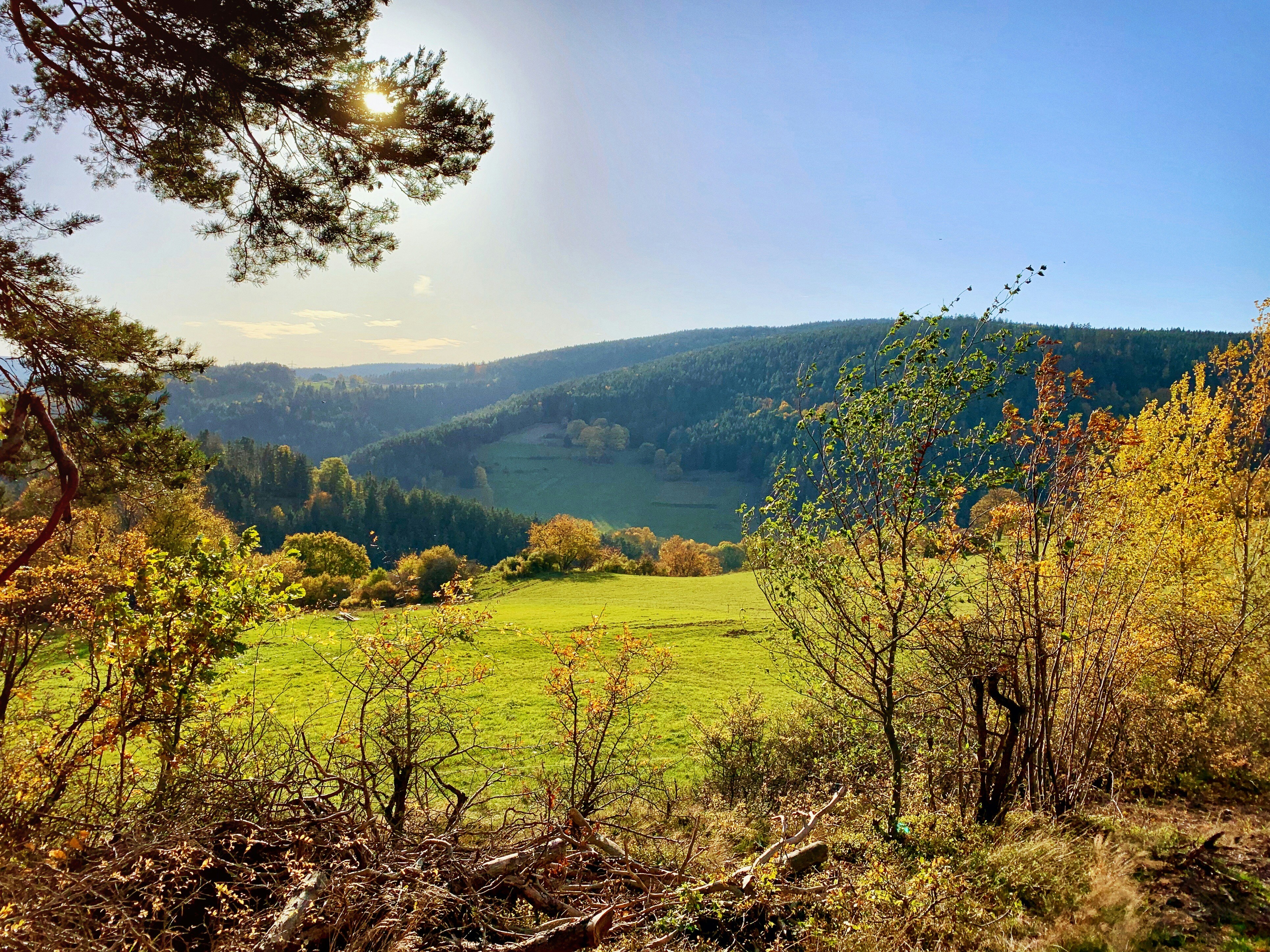 Photo by timotheus_froebel