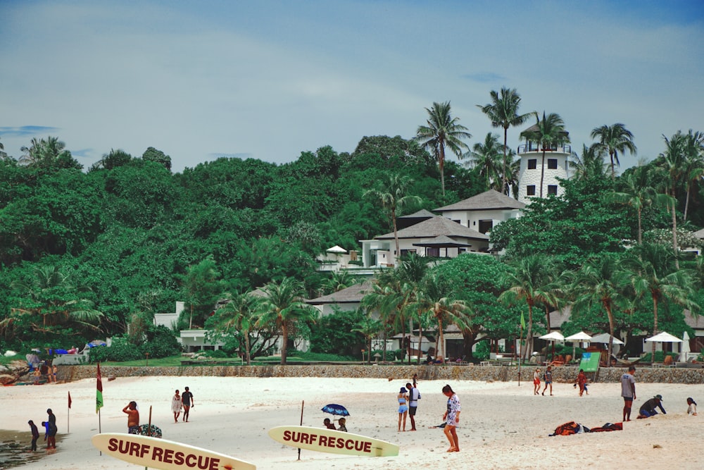 people on seashore