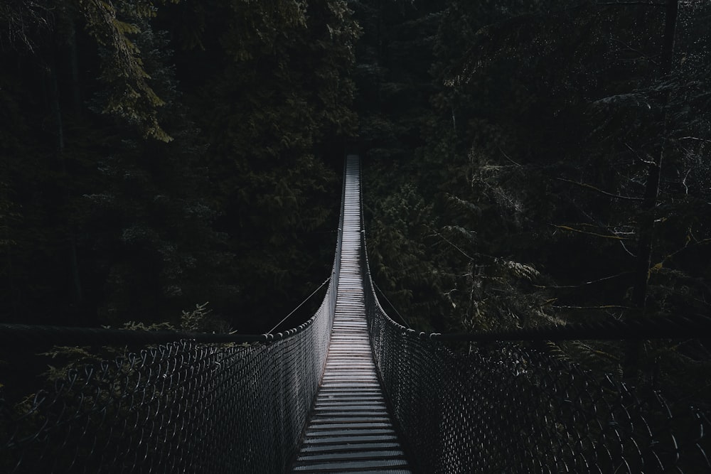 shallow focus photo of brown wooden bridge