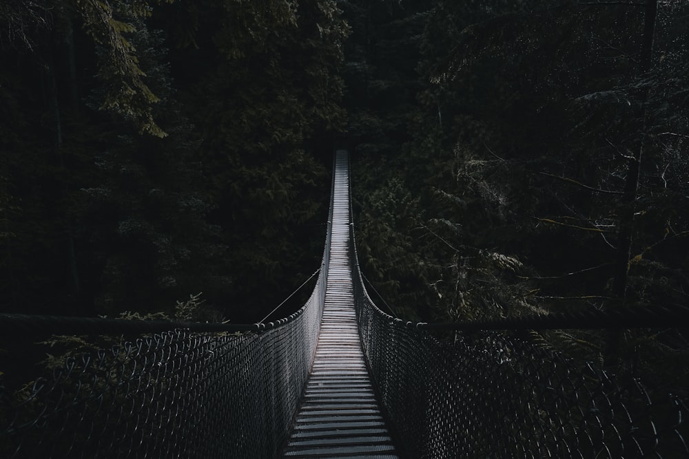 Foto de enfoque superficial de un puente de madera marrón