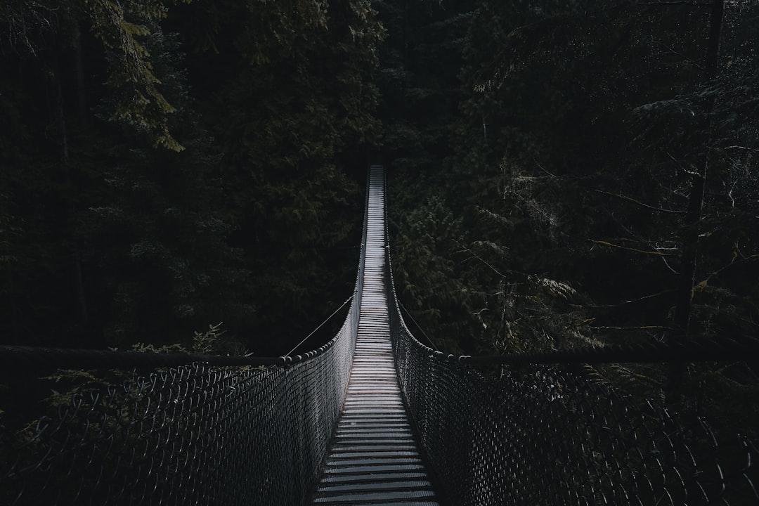 photo of Vancouver Suspension bridge near Colony Farm Regional Park
