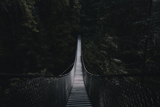 photo of Vancouver Suspension bridge near Grouse Mountain Skyride