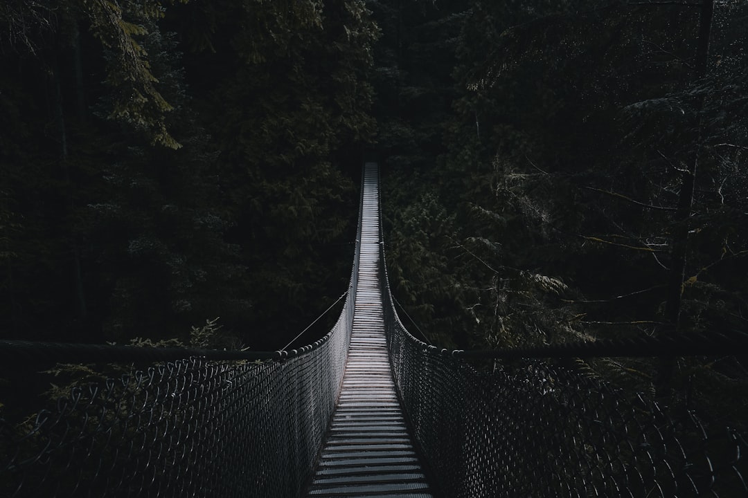 photo of Vancouver Suspension bridge near Maplewood Flats Conservation Area