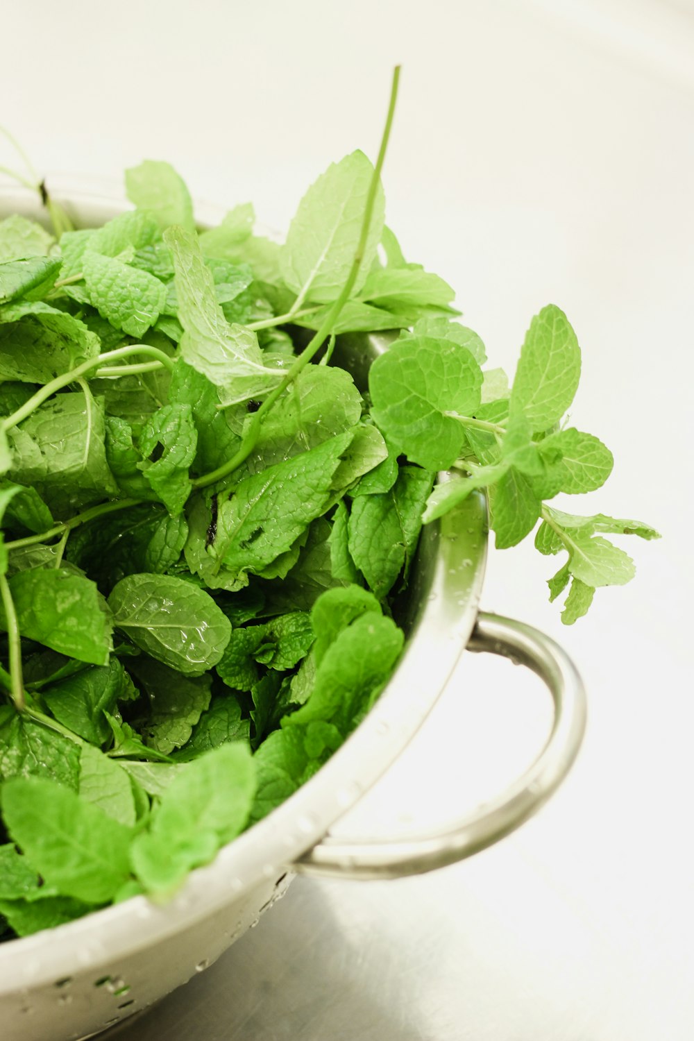 a bowl filled with green leaves on top of a table