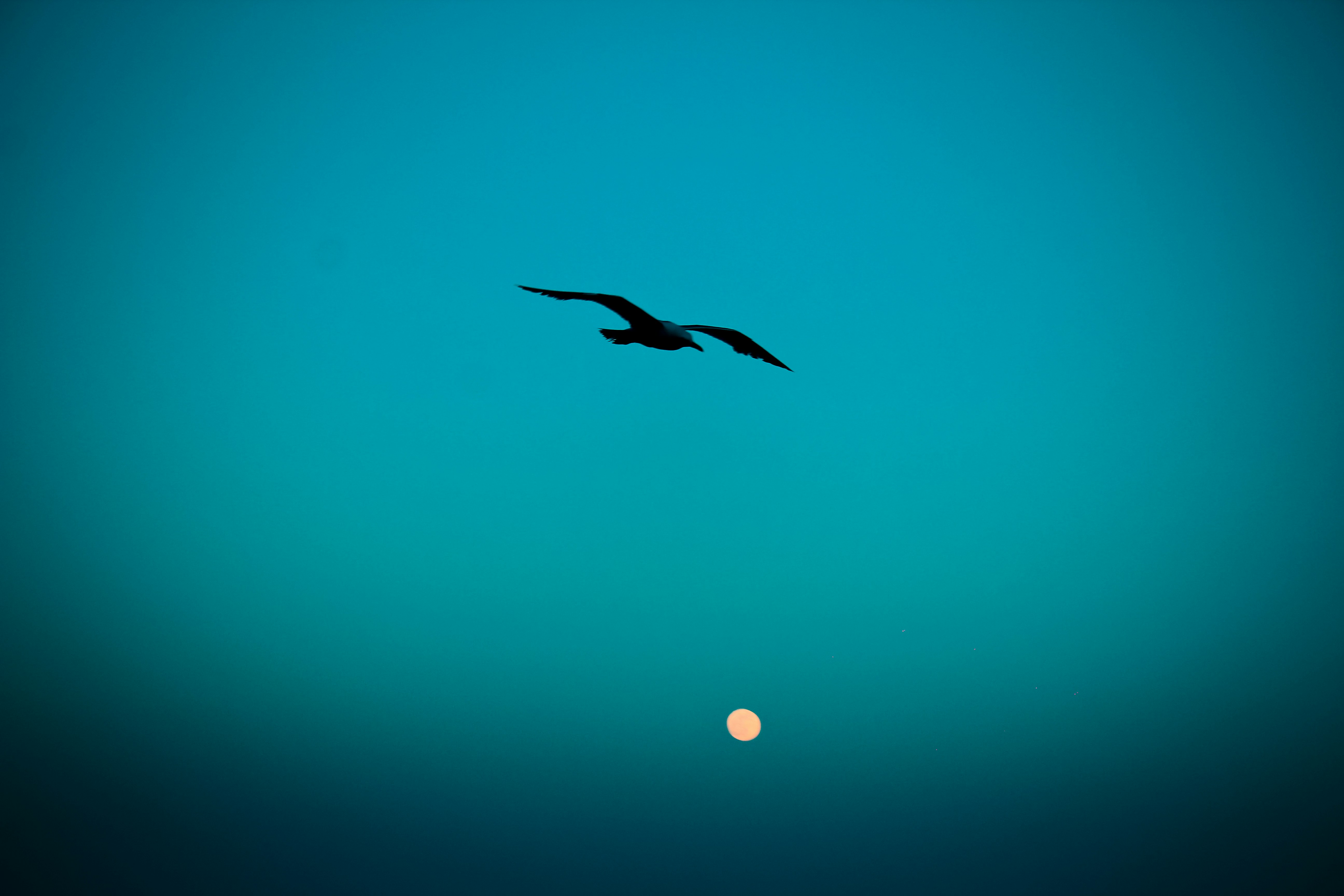 Photo by alvinmahmudov
