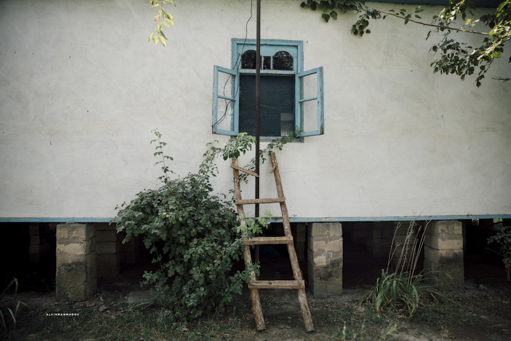 brown wooden ladder beside green plant