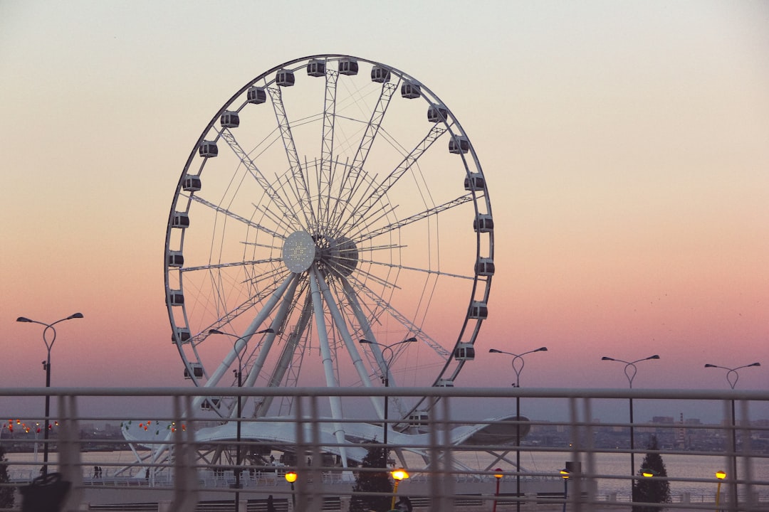 white ferris wheel near body of water