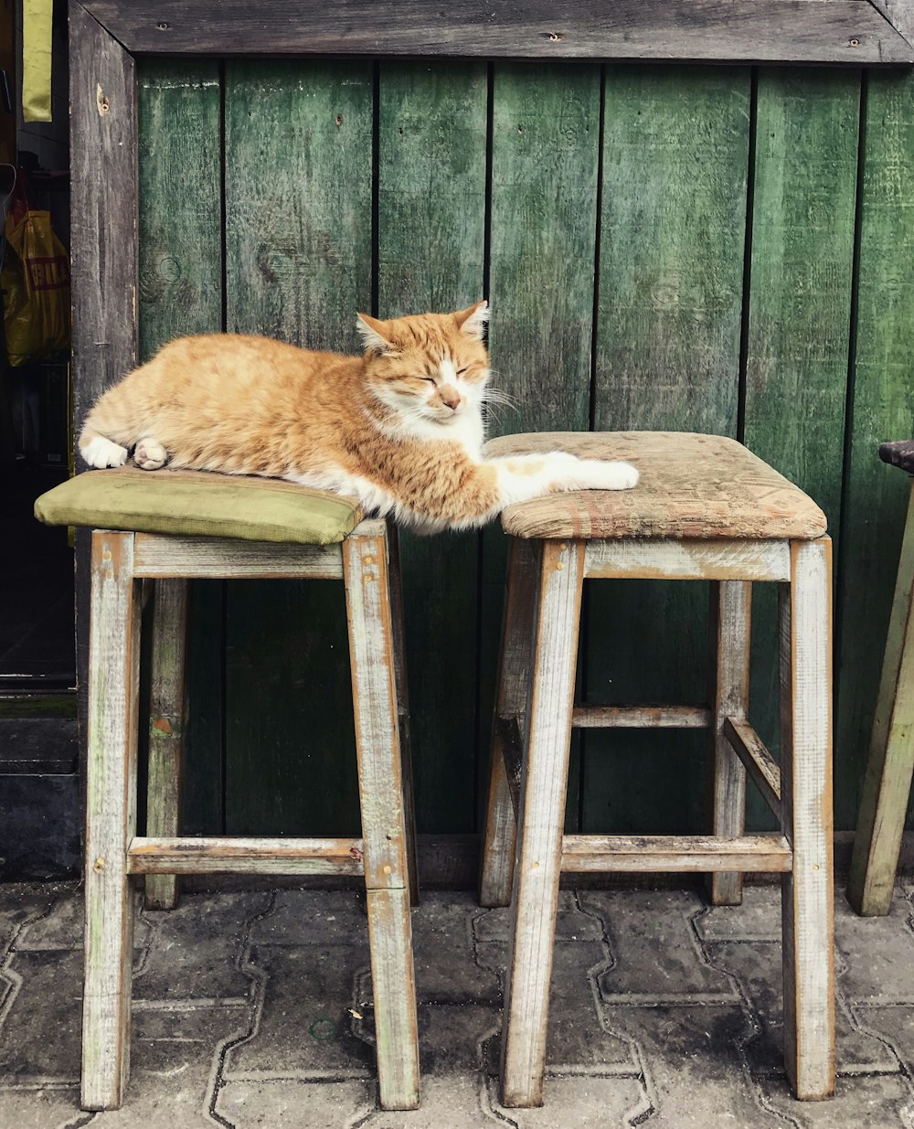 Brinquedo de pelúcia marrom e branco do gato