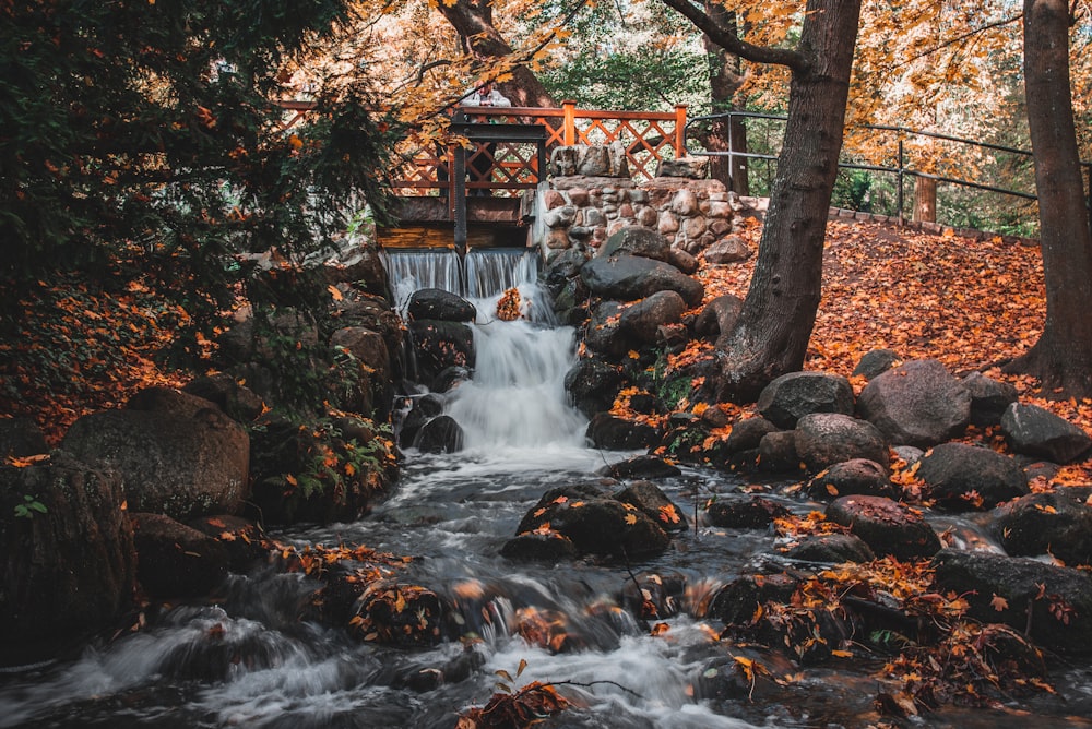 waterfalls and trees and trees