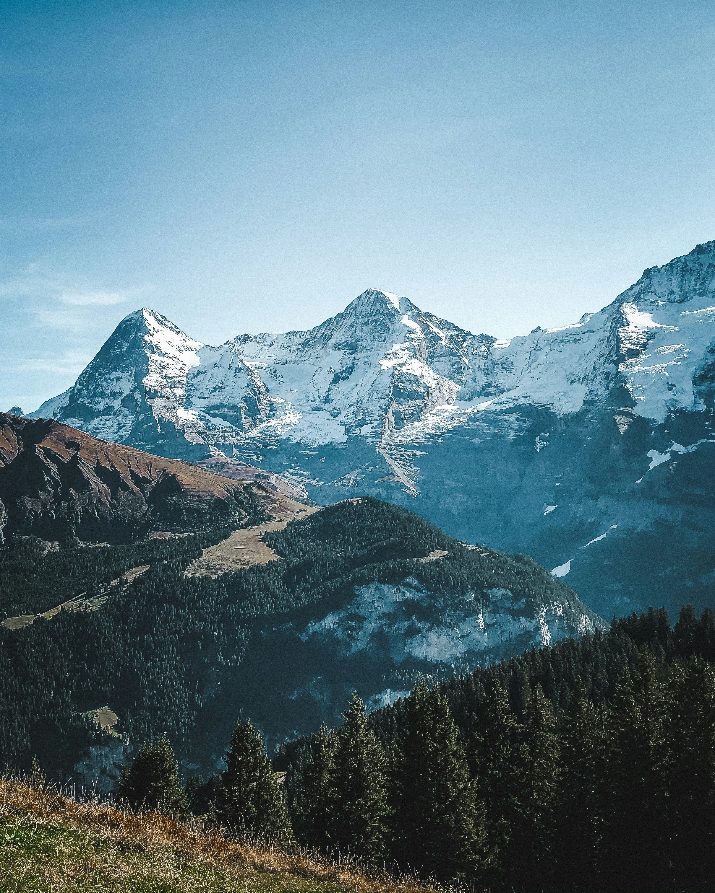 Photo by sanderbrebels