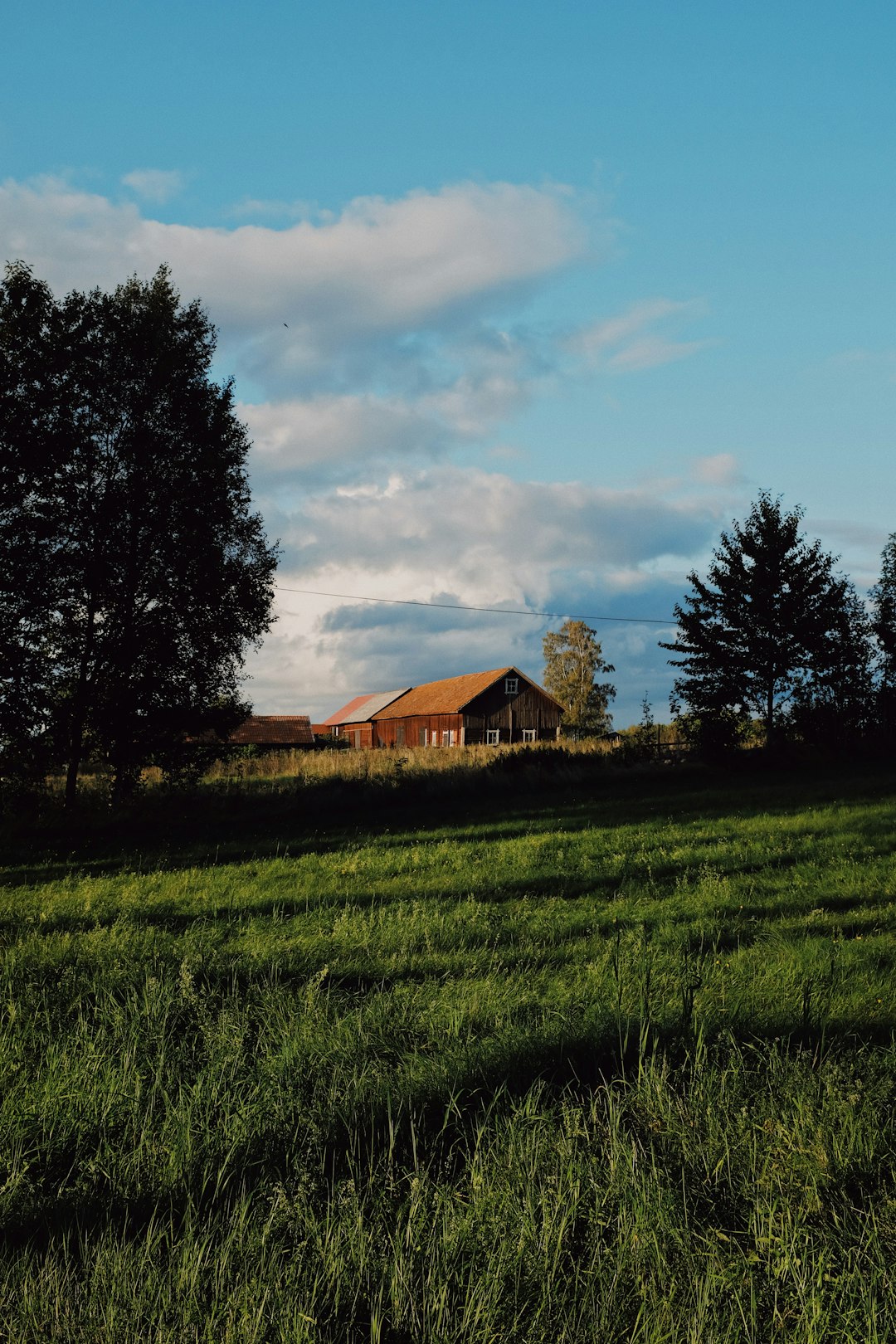 brown house beside trees at daytime