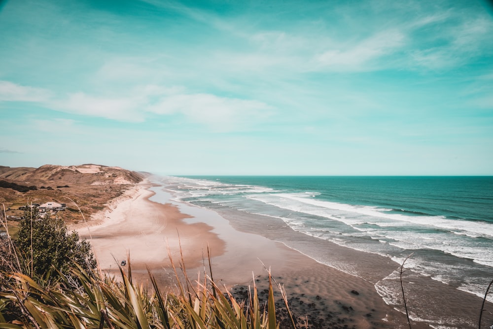 seashore during daytime