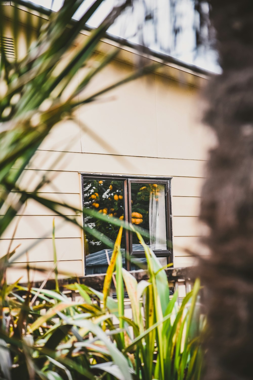 a view of a house through a window