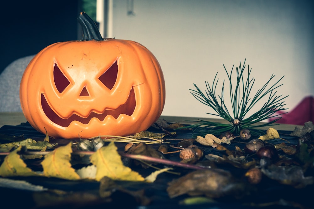 orange and red pumpkin