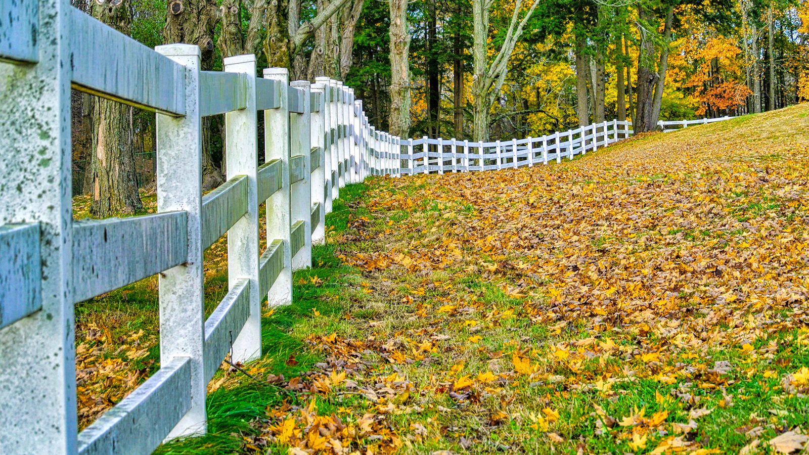 White vinyl fence framing a front yard