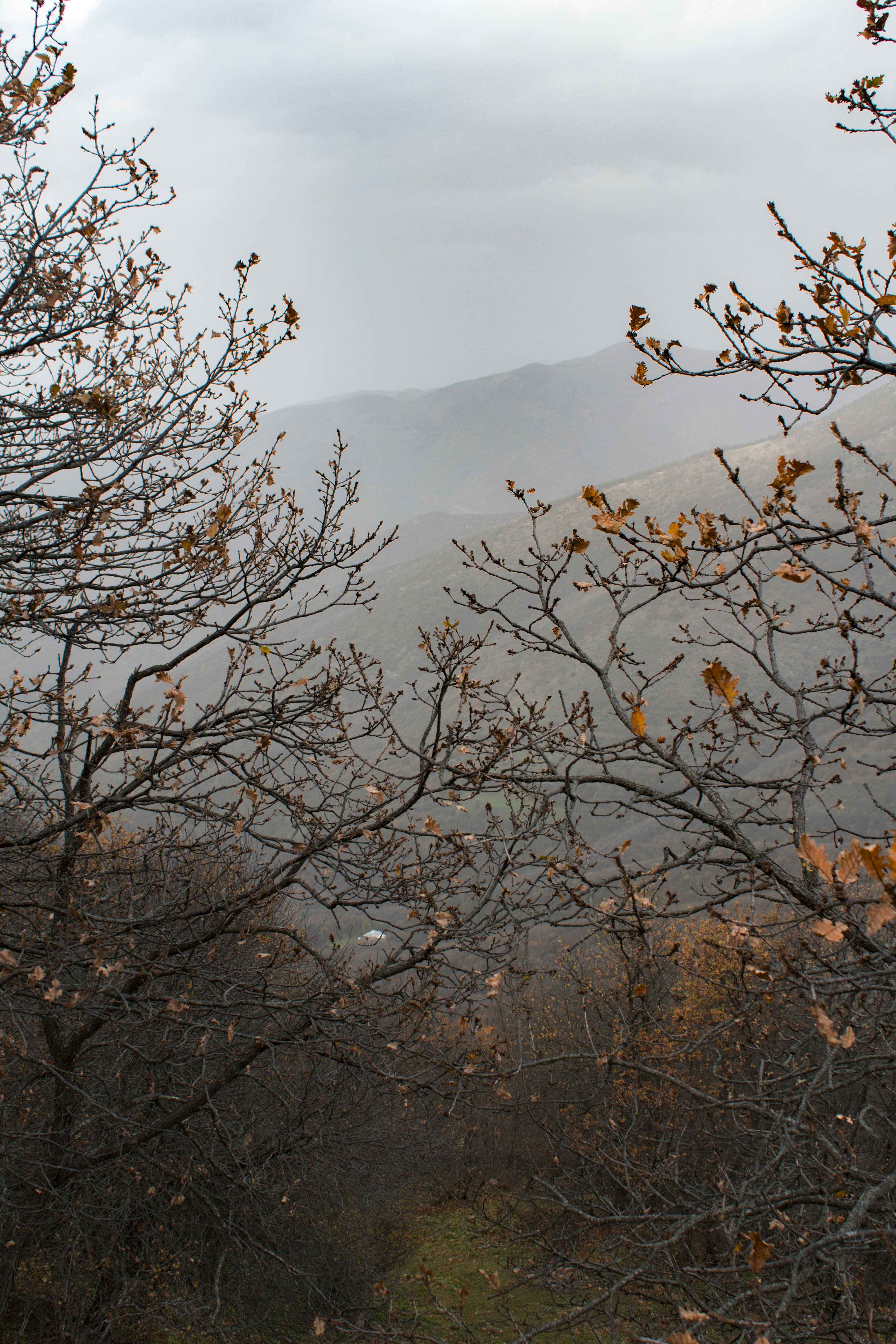 Photo by m_amirahmadi