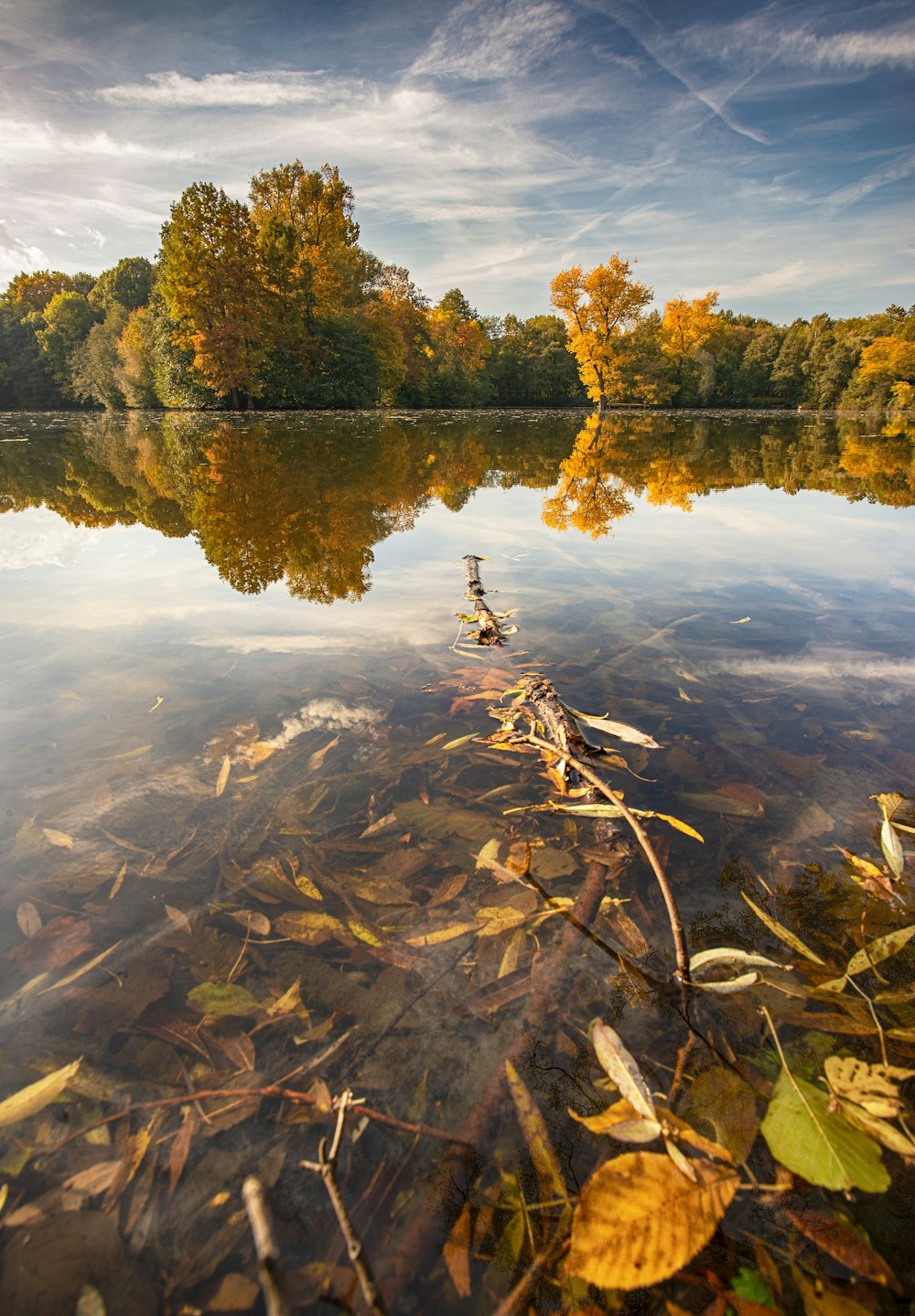 lake in forest