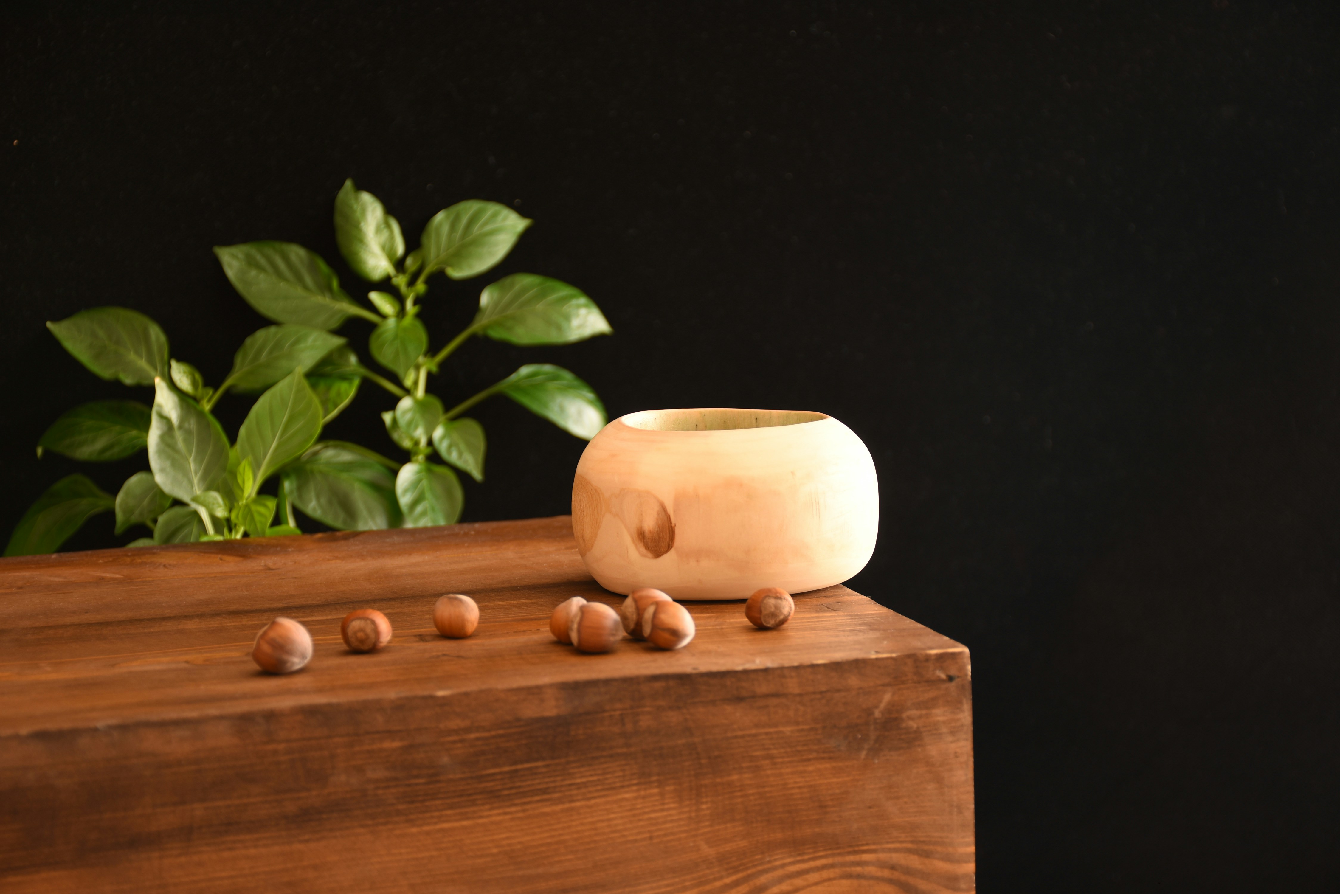 brown seeds near green plant