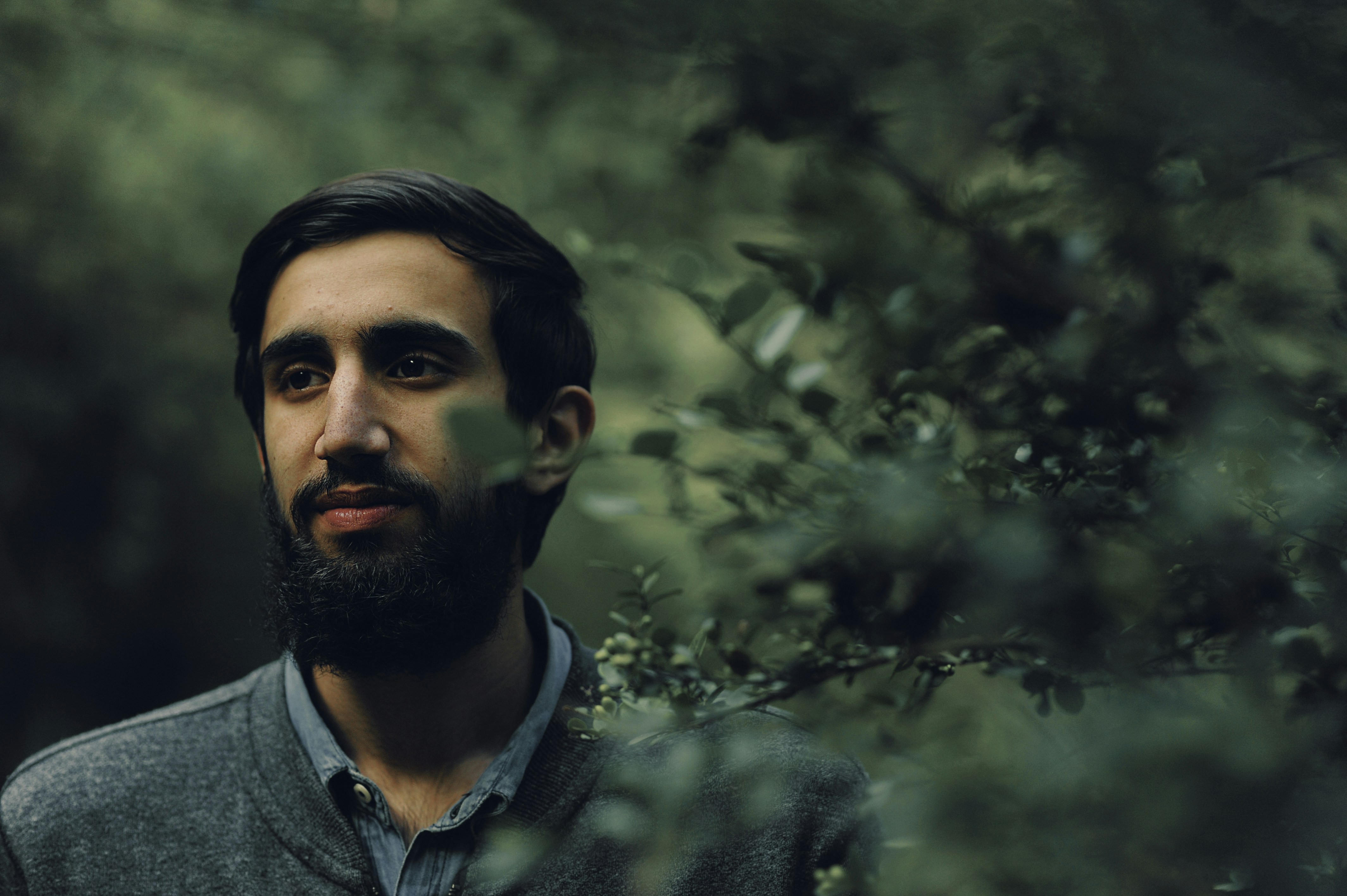 Photo by salararif28