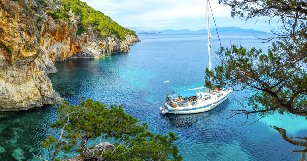 white sailboat on sea water near trees