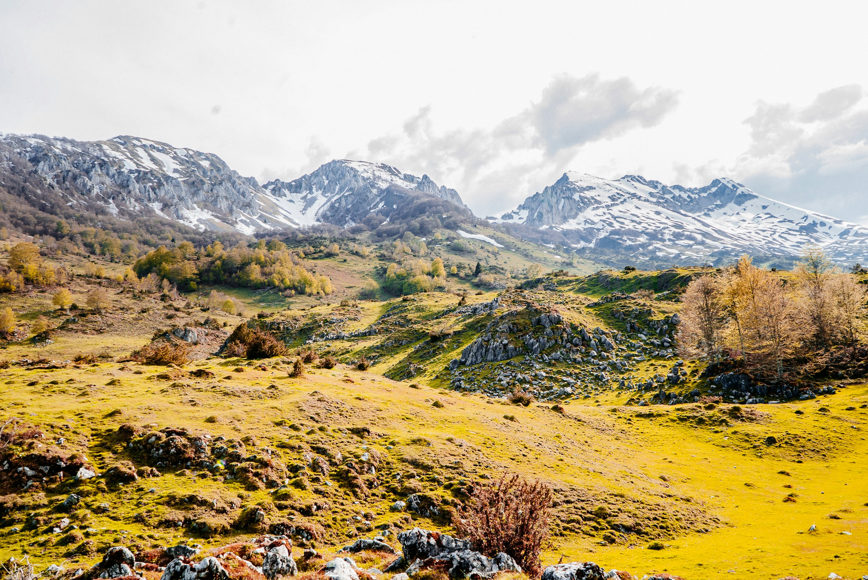 Photo by hermanndoyo