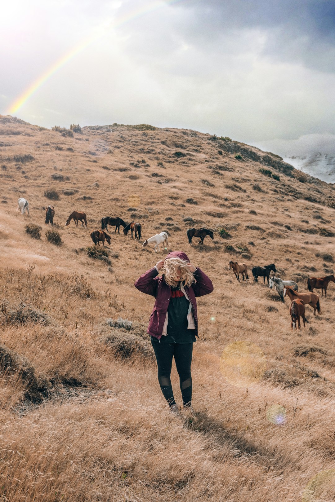 travelers stories about Hill in Torres del Paine, Chile